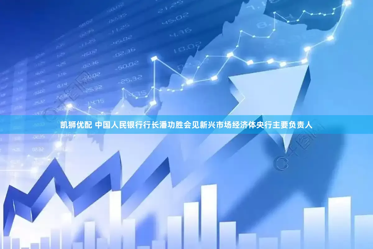 凯狮优配 中国人民银行行长潘功胜会见新兴市场经济体央行主要负责人