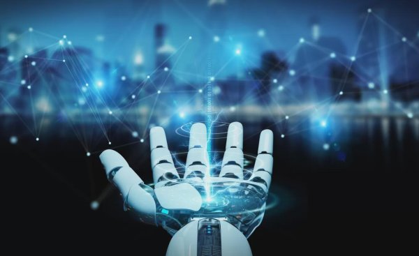 大通证券 聚焦2025世界机器人大会：人形机器人唱主角，哪些公司能突围？