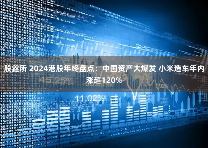 股鑫所 2024港股年终盘点:中国资产大爆发 小米造车年内涨超120%