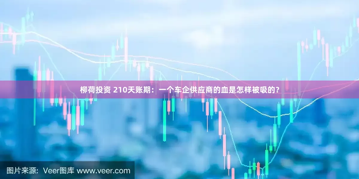 柳荷投资 210天账期：一个车企供应商的血是怎样被吸的？