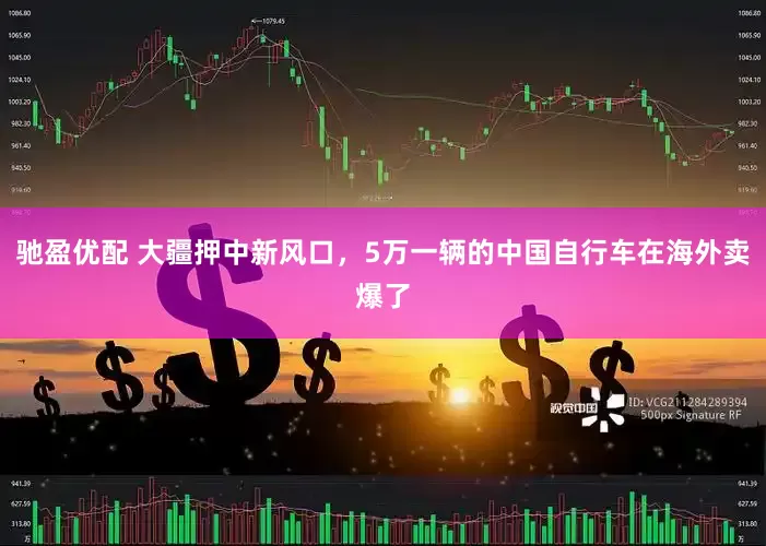 驰盈优配 大疆押中新风口，5万一辆的中国自行车在海外卖爆了